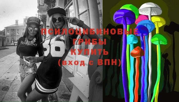 ПСИЛОЦИБИНОВЫЕ ГРИБЫ Алзамай
