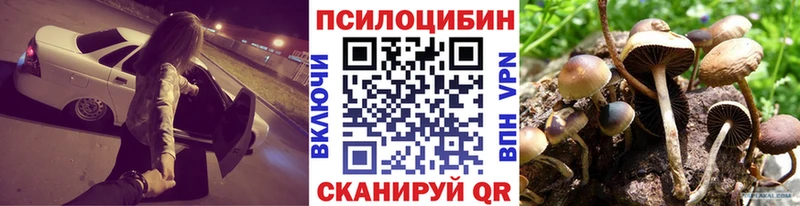 ссылка на мегу ссылка Нижний Ломов Псилоцибиновые грибы Magic Shrooms